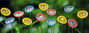 Презервативы цветочки - картинка (Condoms flowers - picture)