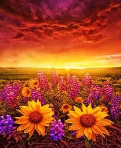 Энциклопедия красоты