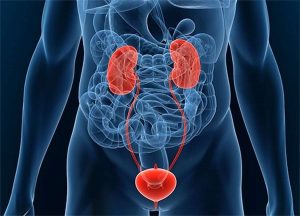 Уретрит – лечение народными средствами (Urethritis - Treatment folk remedies)