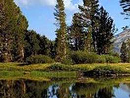 Создание настроев Сытина