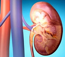 Гломерулонефрит