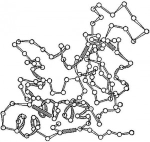 Схема трёхмерной структуры фермента лизоцима