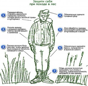 Защита от клещей