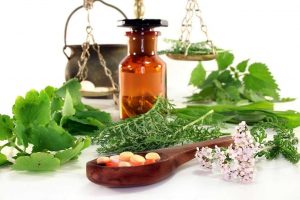 Как лечиться растительными и природными антибиотиками