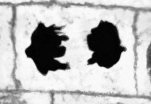 Ранняя телофаза митоза лука (Early telophase of mitosis of onions)