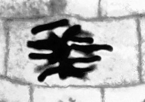 Поздняя телофаза митоза лука (Late telophase of mitosis of onions)