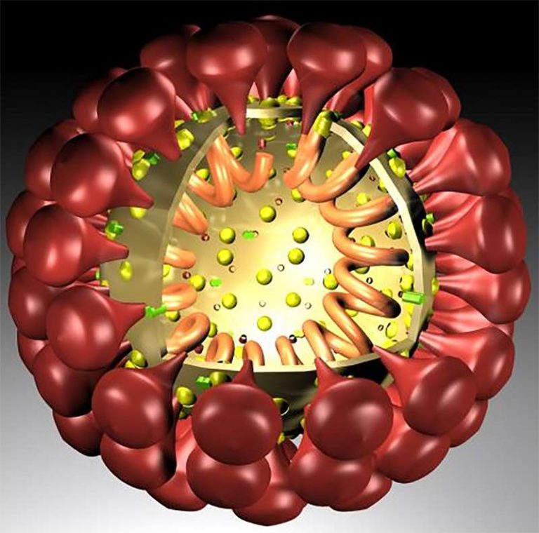 Сайт Здоровья